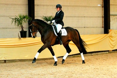 thumb Herzenswunsch 1